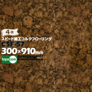 RN Xs[h{HRNt[O CSF-57 uE 4 RN  ̂sv sv {HȒP