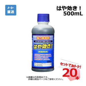 ͂I 500mL 20{ Zbg VZC _knp