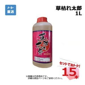 ͂ꑾY 1L 15{ Zbg VZC _knp