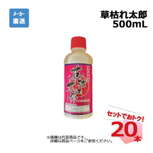 ͂ꑾY 500mL 20{ Zbg VZC _knp