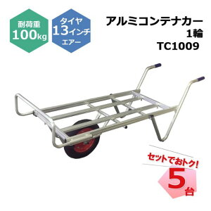 A~ReiJ[ 1 TC1009 5 Zbg VZC 13C`GA[^Ct Rei3 ω׏d100kg lzs