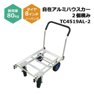 ݃A~nEXJ[ 2ς TC4519AL-2 1 VZC 8C`m[pN^Ct ω׏d80kg