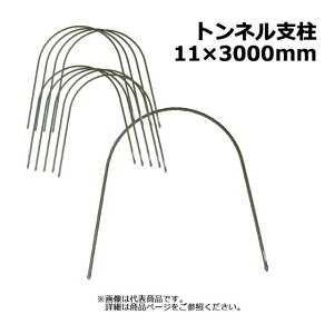 glx 11 x 3000mm 10P×5Zbg v50{ VZC |x ؉A[` lzs