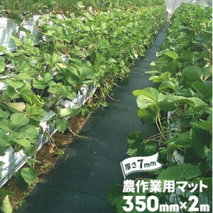 S _Ɨp}bg  7mm 350mm×2000mm _S}bg h~ ʂ ʘH