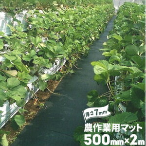 S _Ɨp}bg  7mm 500mm×2000mm _S}bg h~ ʂ ʘH