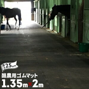 S _p}bg S}bg bNJbg  25mm/TCY 1350mm×2000mm ɗpS}bg npZ̉XɒʘH Cxg _̒ʘH }bg