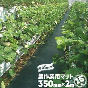 S _Ɨp}bg  5mm 350mm×2000mm 15 _}bg h~ ʂ ʘH _S}bg