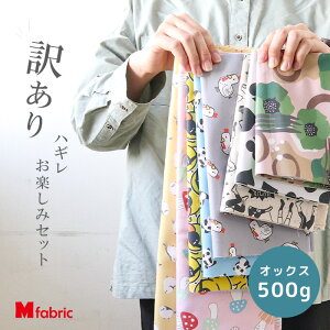 【訳あり】ハギレ オックス たっぷり 500g 詰合せ 生地セット ハギレセット 端切れ B品 オックス生地 送料無料 生地 布 カットクロス アウトレット 詰め合わせ 日本製 おしゃれ 入園入学 女の