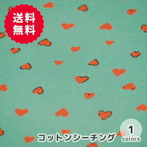 y50cm10cmPʁz V[`O sXO[ƃn[gt n[g g  bh XO[ ݃J[  z n  Rbg cotton  nhCh handmade | Gt