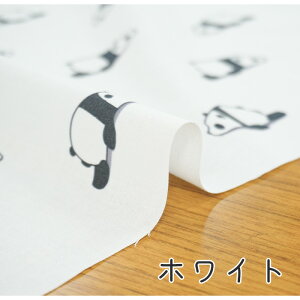 y50cm10cmPʁz V[`O sp_t p_ p_   Aj} ݃J[ w w 邢  킢 n ̎q j̎q z n 