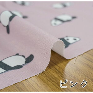 y50cm10cmPʁz V[`O sp_t p_ p_   Aj} ݃J[ w w 邢  킢 n ̎q j̎q z n 