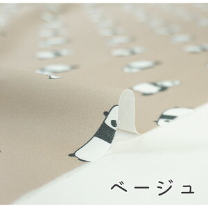 y50cm10cmPʁz V[`O sp_t p_ p_   Aj} ݃J[ w w 邢  킢 n ̎q j̎q z n 