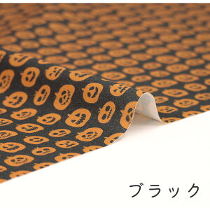 y50cm10cmPʁz V[`O spvLt nEB nEB ڂ WbNI[^ ߑ  RXv L[g |bv JCC z n { Gt@ubN Mfa