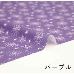 y50cm10cmPʁz V[`O s~̃Nt nEB nEB N w偕 XpC_[ ߑ  RXv |bv JbRCC 킢 ̎q j̎q z n V[`O