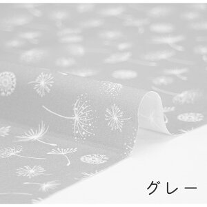 y50cm10cmPʁz V[`O sۂہt ۂە ^|| ԕ ԕ Ȗ ӂӂ A ԕ {^jJ i` Vv  Rbg 킢 ̎q j̎q z n I