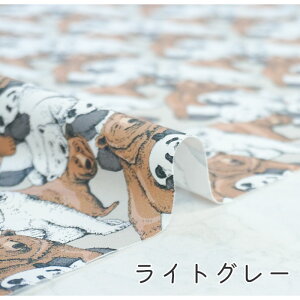 y50cm10cmPʁz IbNX sڂ̓N}AڂN}Bt p_ p_ N} F  낭ܕ F  Aj} |bv A RR]  j[N LoX 