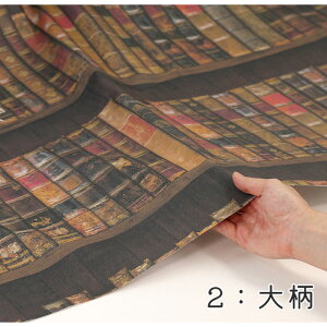 y50cm10cmPʁz IbNX sցt { AeB[N AeBbN NVbN ʐ^ A O IV CeA 킢 ̎q j̎q z n IbNXn IWi { 