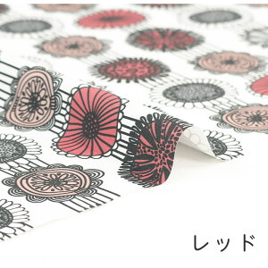 y50cm10cmPʁz IbNX saurinko2t n ԕ 啿 A k k kn }bR IV h CpNg  JCC 킢 ̎q j̎q z n IbNXn