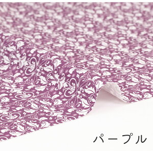 y50cm10cmPʁz IbNX s_}XN1t _}XN͗l A ͕ {^jJ  OWA[ GKg i  JCC 킢 ̎q j̎q z n IbNX