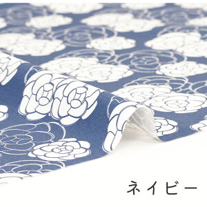 y50cm10cmPʁz IbNX s[Y 2t ԕ o KN _}XN _[NJ[ pXe GKg JCC 킢 l Vv w ̎q j̎q z n IbNXn 