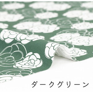 y50cm10cmPʁz IbNX s[Y 2t ԕ o KN _}XN _[NJ[ pXe GKg JCC 킢 l Vv w ̎q j̎q z n IbNXn 