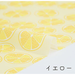 y50cm10cmPʁz V[`O st  EG  ʕ t[c Hו w |bv u₩  킢 z n IWi { Gt@ubN M