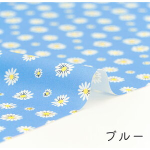 y50cm10cmPʁz V[`O sg}[Kbgt ԕ }[Kbg ЂȂ ԕ  A {^jJ |bv g 킢  w z n IWi 