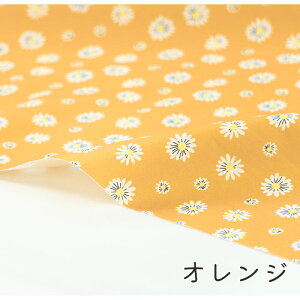 y50cm10cmPʁz V[`O sg}[Kbgt ԕ }[Kbg ЂȂ ԕ  A {^jJ |bv g 킢  w z n { Gt