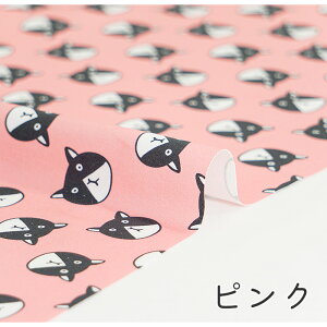 y50cm10cmPʁz IbNX slRłǁHt L lR ˂ lR ˂ L Aj}  n` n`L  LnV[ 킢 ̎q j̎q z n IbN