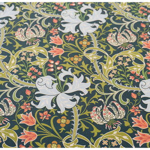 y50cm10cmPʁz IbNXs[K[ft ԕ S  A {^jJ  GKg NVJ SVbN VbN l i H ~ 킢 z n { Gt@u