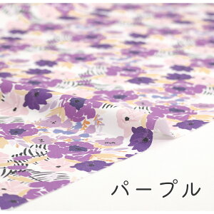 y50cm10cmPʁz IbNX sCӂɍ炭ԁt ԕ A {^jJ 썑 ][g oJX r[` gsJ IV  JCC z  n { Gt@ubN Mfabric 