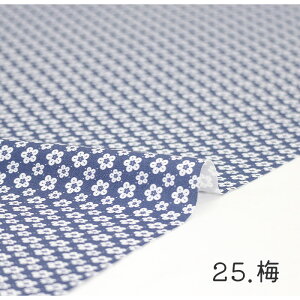 y50cm10cmPʁz V[`O sWASABIV[Y5t a ̎q  ~ ~ a ԕ Cg { `͗l ʂ a_ a Vv  Ղ 킢 z n V[`O