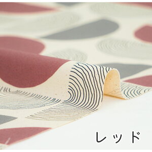 y50cm10cmPʁz IbNX soEt 􉽊w͗l 􉽊w kn k k oEN[w 啿 Vv ݃J[  l  z n { Gt@ubN Mfabric 