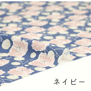 y50cm10cmPʁz V[`O sqiQVt ԕ |s[ _ a a a_ kn k  VbN l IV  JCC 킢 ̎q j̎q z n V[`O