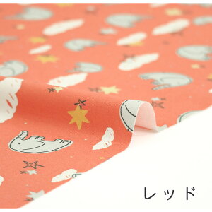 y50cm10cmPʁz IbNX s]EƐt]E    Aj}  _  ]E CXg 邢  i` 킢 F j̎q z n IbNXn { 