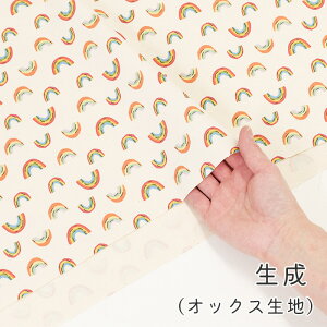 y50cm10cmPʁz IbNX V[`O sC{[t   C{[ rainbow  i` Jt R[sN T[sN |bv 킢 w z n IWi