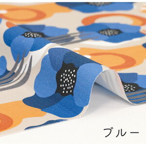 y50cm10cmPʁz IbNX sԎ萅t ԕ A 啿 k kn k }bR a a CpNg 킢 ̎q j̎q z n IbNXn IWi { G