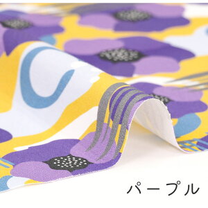 y50cm10cmPʁz IbNX sԎ萅t ԕ A 啿 k kn k }bR a a CpNg 킢 ̎q j̎q z n IbNXn IWi { G