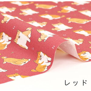 y50cm10cmPʁzIbNX slƂlt   Ck  Č   Aj} a a dog  킢 z ̎q j̎q z n IbNXn IWi { Gt