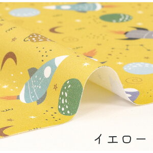 IbNX sFstF Pbg     f y F Xy[X w 킢  ̎q j̎q z n IbNXn { Gt@ubN Mfabric 