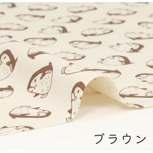 y50cm10cmPʁz IbNX syMłBtyM   Aj} Vv 킢 L[g i` CXg 邢 ̎q j̎q z n IbNXn IWi