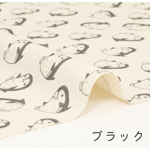 y50cm10cmPʁz IbNX syMłBtyM   Aj} Vv 킢 L[g i` CXg 邢 ̎q j̎q z n IbNXn { G