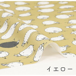 y50cm10cmPʁz IbNX sȂƂ́ct r Ђ qcW  K K w  j[N 邢 IV 킢 ̎q j̎q z n IbNXn 