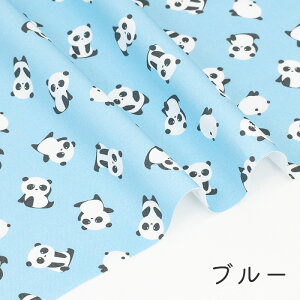 y50cm10cmPʁz IbNX sς񂾂ӂtp_ p_  Aj} Vv   pXe |bv  킢 w ̎q j̎q z n IbNXn IWi {