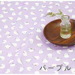 y50cm10cmPʁzIbNX sV}GiKt   g   Aj}   ~ ̗d pXeJ[ w ̎q j̎q 킢 z n {