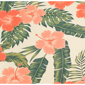 y50cm10cmPʁz IbNX snCrXJXt nCrXJX ԕ {^jJ A nCA nC 썑 썑 ][g i` 킢  z n  MA-0242  nh