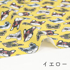 y50cm10cmPʁz IbNX sU̎Ԃt t`uhbO tu uhbO     TOX Aj} RR] |bv 킢  z n IW