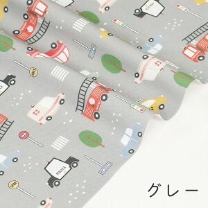 y50cm10cmPʁz IbNX s ͂炭 tԕ ܕ N} ̂̕  pgJ[ h ~} ^NV[ oX w   킢 j̎q z n I