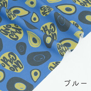 y50cm10cmPʁz IbNX sA{Jhƃ_Xt A{Jh ؕ k }bR Vv 킢  |bv  ʕ t[c 썑 A{Kh HX S z n I