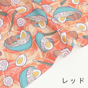 y50cm10cmPʁzIbNX s߂̈tt [ [ Hו ŗ ϗ ig 啿 CpNg j[N 낢 RR] 킢 ̎q j̎q z n IbN